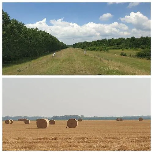 Apartament Bigcarphome Szigetbecse